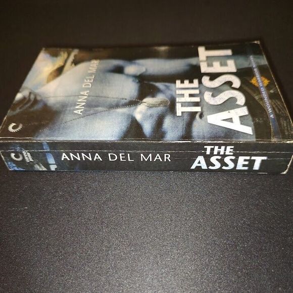 The Asset (A Wounded Warrior Novel) - Mass Market Paperback - GOOD - Picture 3 of 6